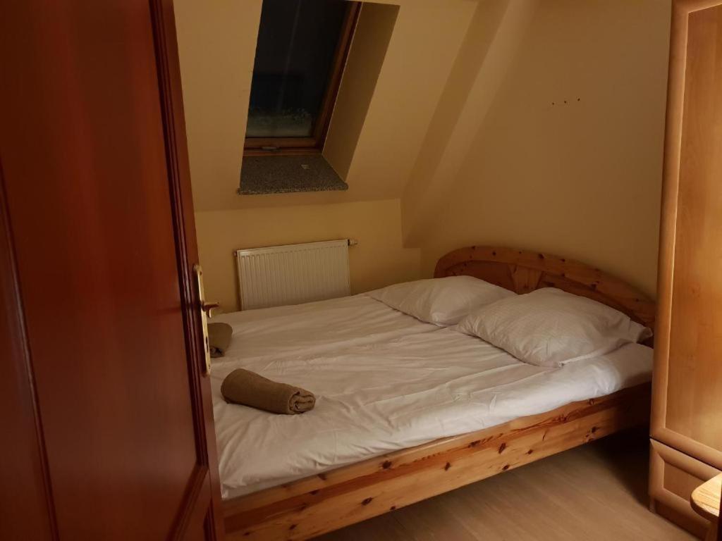 Apartamenty Pokoje Nowotarska זקופאנה מראה חיצוני תמונה